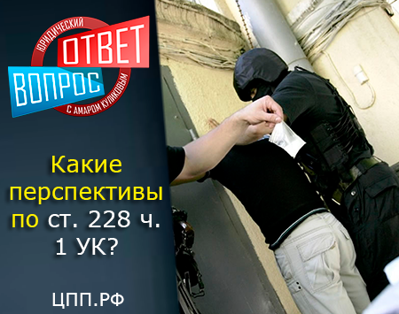 Какие перспективы при обвинении по ст. 228 ч. 1, если судимость первая?