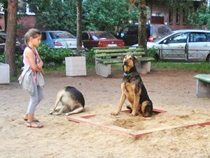 Выгул собак в Москве считают слишком свободным